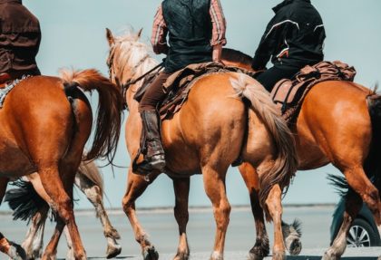 Consejos de seguridad para las rutas a caballo